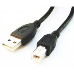 Cable USB 2.0 conector A-conecctor B 6 ft
