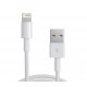 cable-nc-lightning-iphone-a-usb-a-m-20m-1.jpg