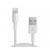 CABLE NC LIGHTNING IPHONE A USB A/M 2.0M