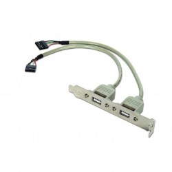 Slot Bracket USB x2